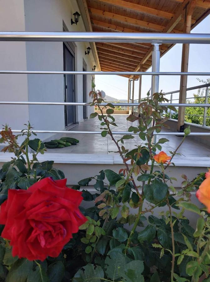View Apartment Lukovë 外观 照片